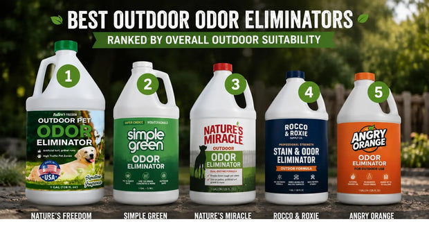 What Is the Best Outdoor Pet Odor Remover?