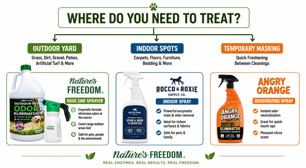 What Is the Best Pet Odor Eliminator? Top Picks by Use Case