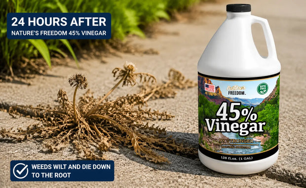 Does Vinegar Kill Weeds? The Honest Answer