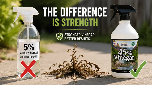Does Vinegar and Water Kill Weeds?