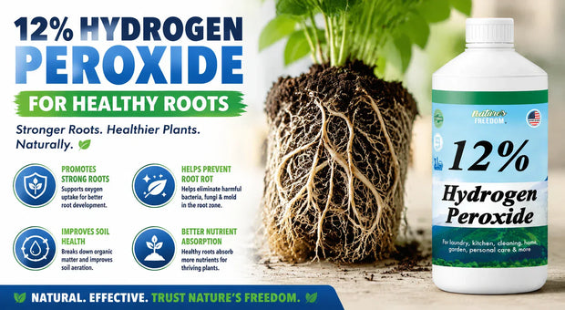 Hydrogen Peroxide for Root Rot: Treatment and Recovery Guide
