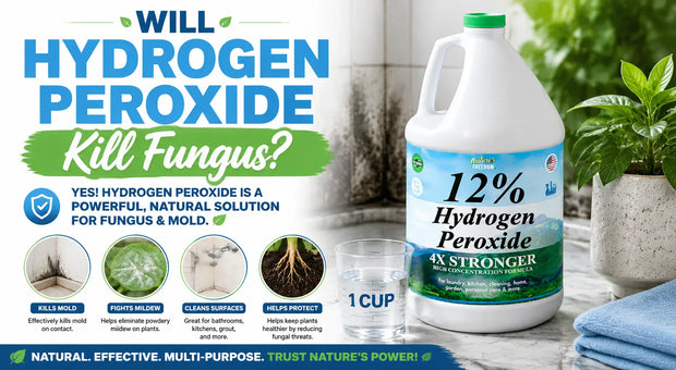 Will Hydrogen Peroxide Kill Fungus?
