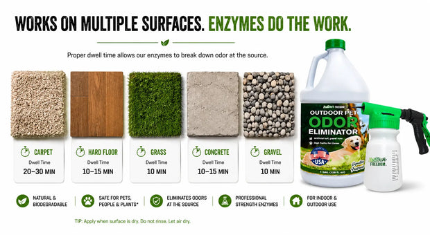 How to Get Rid of Dog Pee: Carpet, Grass, Concrete, and More
