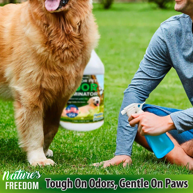 How to Get Rid of Dog Urine Smell in the Backyard