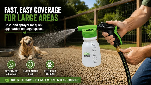 How to Remove Outdoor Dog Urine Smell