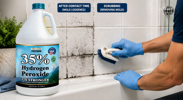How to Clean Mold with Hydrogen Peroxide