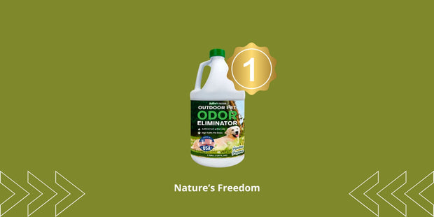 Best Enzyme Cleaner for Dog Urine: Top Picks 2026
