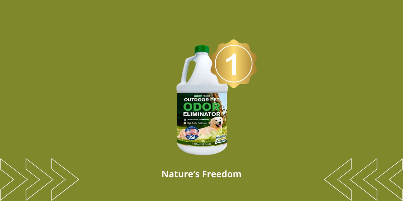 Best Enzyme Cleaner for Dog Urine: Top Picks 2026