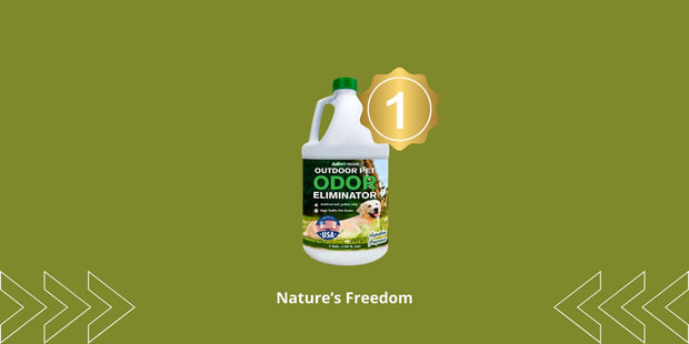Best Enzyme Cleaner for Dog Urine: Top Picks 2026