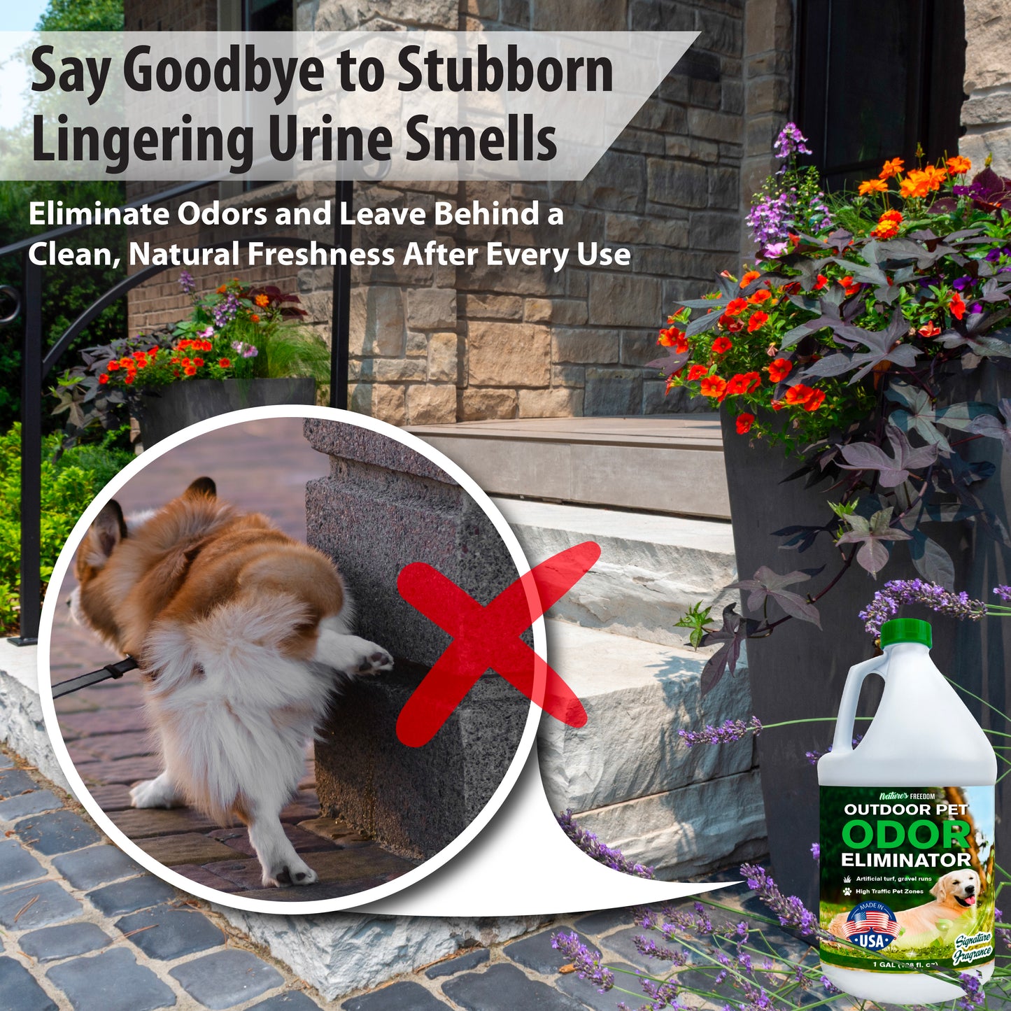 Nature's Freedom outdoor pet urine odor remover eliminates stubborn lingering urine smells from concrete patios and outdoor surfaces
