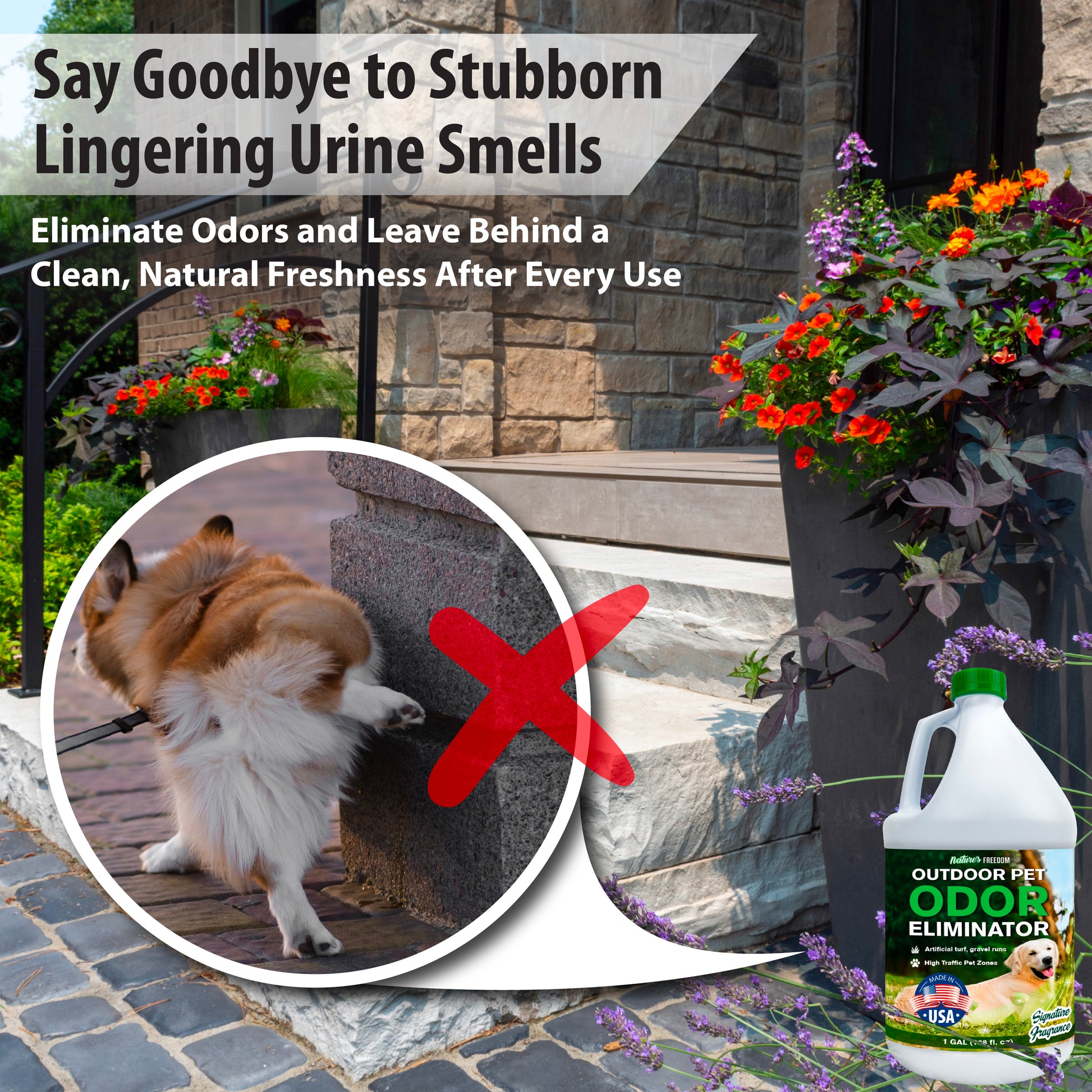 Nature's Freedom outdoor pet urine odor remover eliminates stubborn lingering urine smells from concrete patios and outdoor surfaces